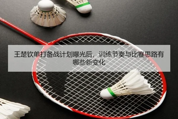 王楚钦单打备战计划曝光后，训练节奏与比赛思路有哪些新变化